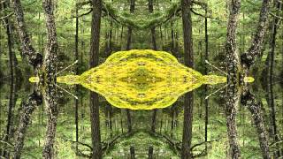 Amazone - Swimotion