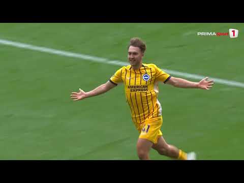 FC Tottenham Hotspur Londra 1-4 FC Brighton & Hove...