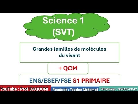 Science 1 : Grandes familles de molécules du vivant ENS/ESEF/FSE avec QCM 