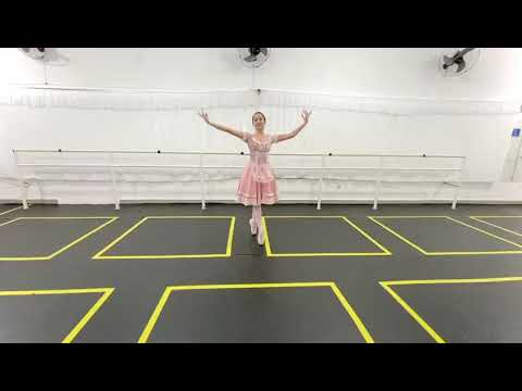 Variação de Repertório: Paysant