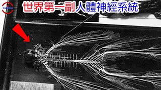 Re: [問題] 有什麼工藝是今不如古的？