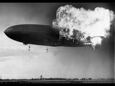 Black Muffin • ZEPLIN