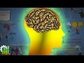 Inteligencia Emocional - El Vídeo Que Te Cambiara la Vida - Resumen Animado