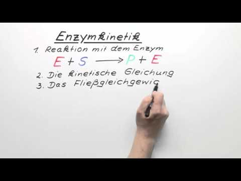 Enzymkinetik | Chemie | Allgemeine und anorganische Chemie