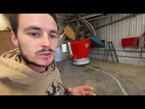 Lely Vector 1 Year Review