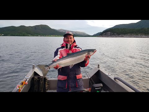 download lagu mp3 mp4 Rybolov Norsko 2019, download lagu Rybolov Norsko 2019 gratis, unduh video klip Rybolov Norsko 2019