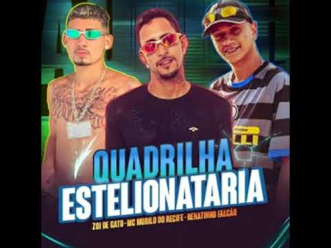 MC MURILO DO RECIFE E ZOI DE GATO E RENATINHO FALCÃO QUADRILHA ESTELIONATARIA (sem vinheta)