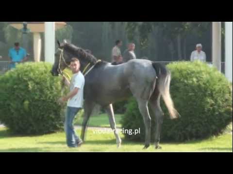 Gon. V (N. SK Krasne) - 27.08.2011 - Hortensja (In Camera - Halszka)