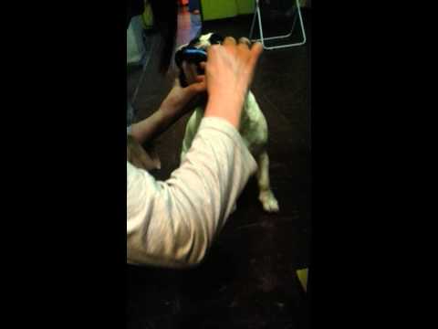 Narciso lavandose los dientes