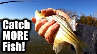 I Caught A Lot Of FISH After Making THIS Change!