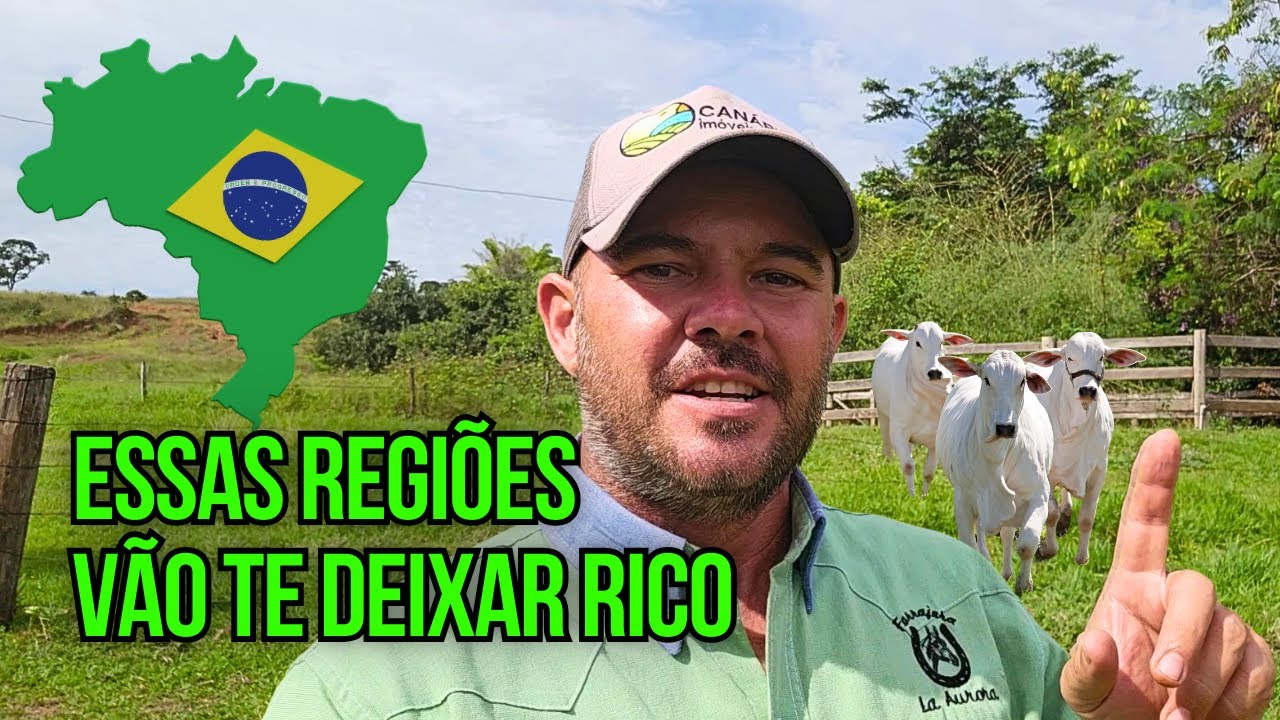 7 REGIONS OF BRAZIL THAT CAN MAKE YOU A MILLIONAIRE IN AGRICULTURE