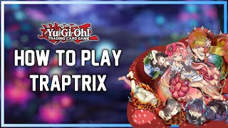 How To Play Traptrix
