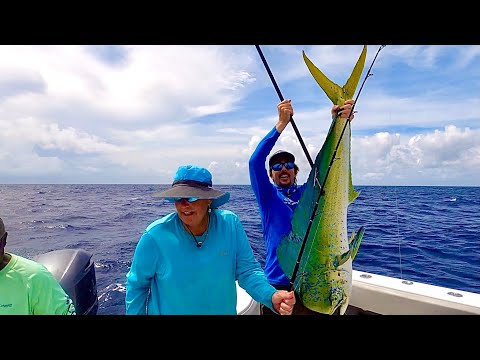 Purée de mahi-mahi-thon ! Elle s'en prend au taureau ! Catch Clean Cook - Bol de poké au thon