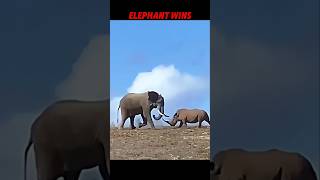 No One Defeats a Rhino… Except the Elephant! 🐘💥 #trending #animals #wildlife #elephant #rhino