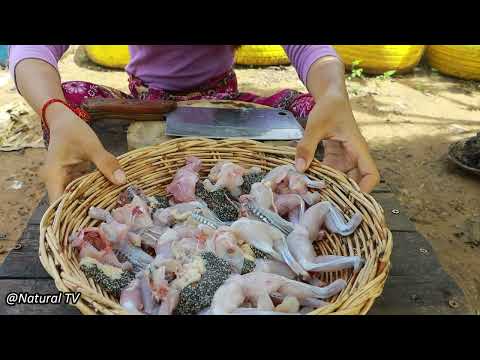 Amazing Girl Cooking Hot Fried Frogs Recipe Eating Delicious