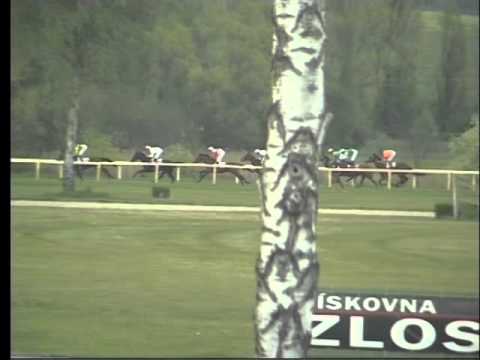 LL, 1. 5. 2016, 4. dostih - CENA ODS