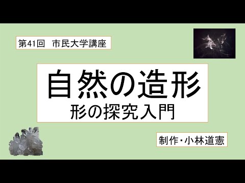 地域科学課程 自然の造形----形の探究入門