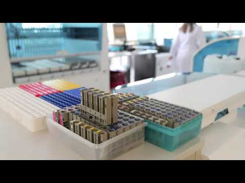 Der Weg der Probe durch das Labor