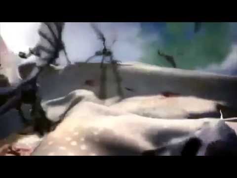 DIE SUCHE NACH ALIENS ● Dokumentation 2014