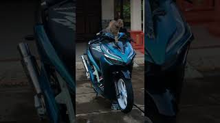 Download lagu SINEMATIK VARIO 150 HEDON PARAH #shortvidio #shorts #VARIO150 mp3 Download lagu SINEMATIK VARIO 150 HEDON PARAH #shortvidio #shorts #VARIO150 mp3