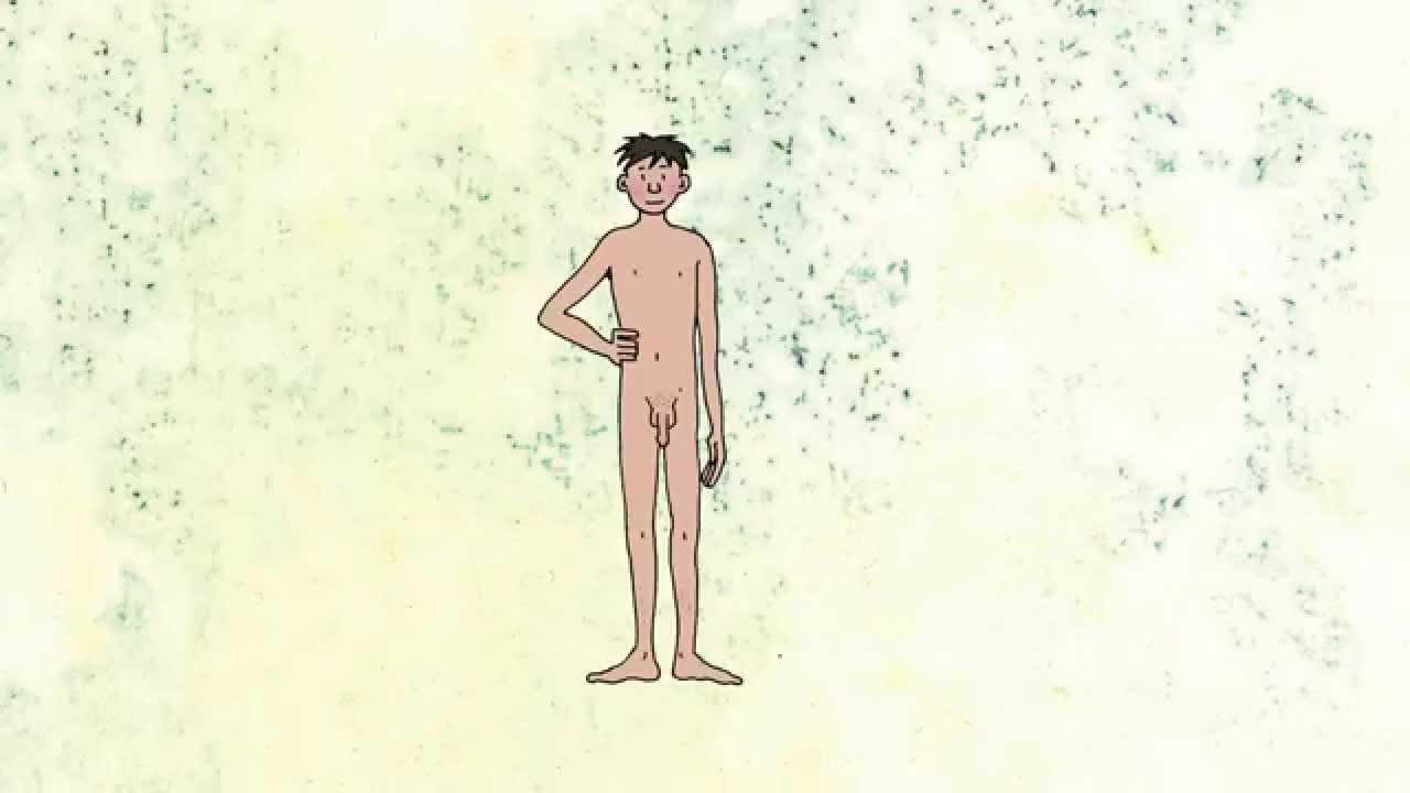 Lespakket Relaties & Seksualiteit- De puberjongen (educatie)