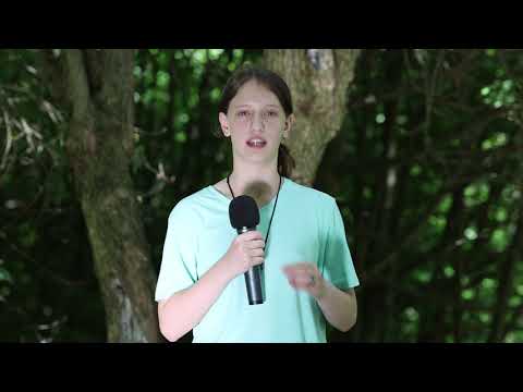 Cum e vremea în tabăra TV Dicție.ro - Alessia Munteanu