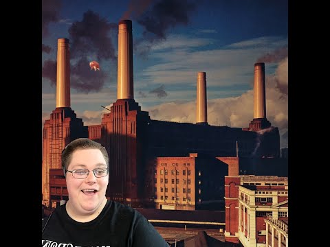 Millennial Reacts To Pink Floyd Sheep