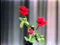 Red Skelton Grandparents Poem