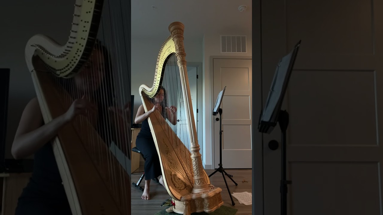 Promotional video thumbnail 1 for Bella the Harpist