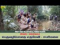 சபரிமலை பெரிய பாதை பயணம் FIRST TIME LIVE Sabarimala Tradit