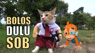 Download lagu Gemes Banget! Fashion Show Kucing Dengan Busana Keren Abis | SI OTAN mp3 Download lagu Gemes Banget! Fashion Show Kucing Dengan Busana Keren Abis | SI OTAN mp3