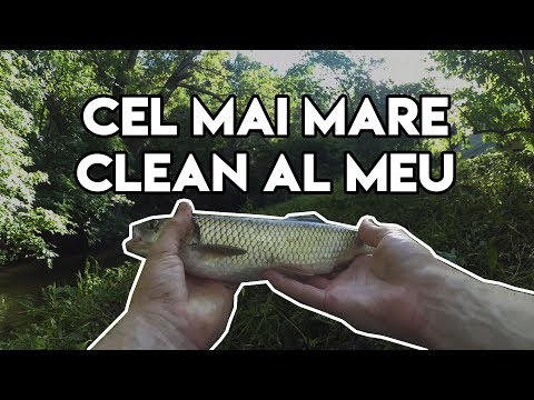 Pescuit la clean - Record Personal
