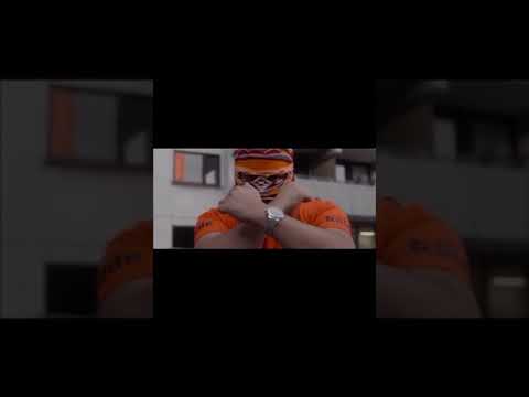 Iboprofen Lass die Hunde Bellen