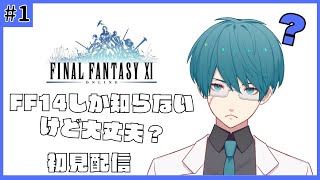 【FF11】#1 FFシリーズが全く分からない初見実況【Vtuber/karyua】