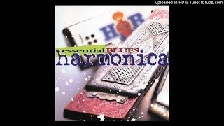 One More Headache - The Paul Butterfield Blues Band