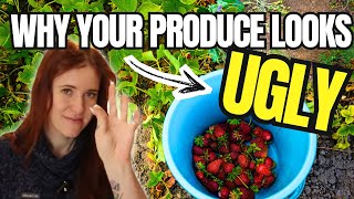 Why Your Homegrown Produce Looks Ugly (It’s Not a Failure)