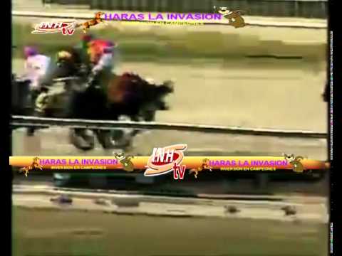 VALENCIA 8 CARRERA, VIERNES 20 DE FEBRERO DEL 2015