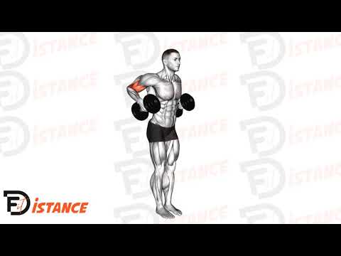 Drag curl marteau debout - Exercice Drag curl marteau debout en vidéo