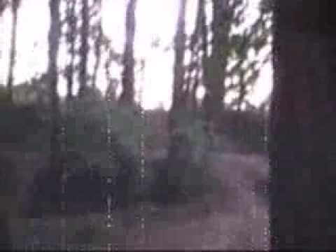 Messin with Sasquatch Part 1