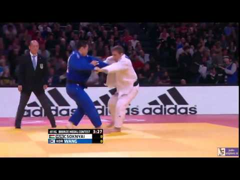 Judo 2016 Grand Slam Paris: Csoknyai (HUN) - Wang (KOR) [-81kg] bronze