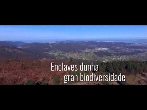 Ayuntamiento de Culleredo - Concello de Culleredo (Spot oficial turismo Culleredo)