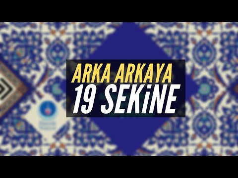 Arka Arkaya 19 SEKİNE