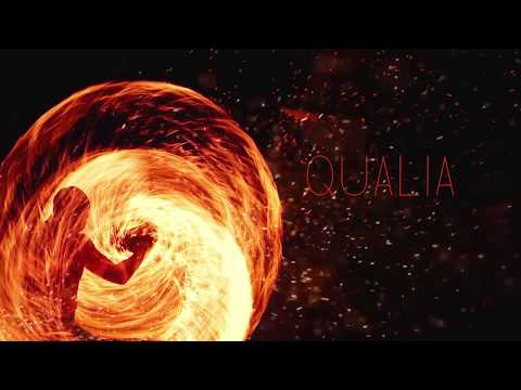 Billy Karnada - Qualia (Single)