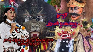 Download lagu live pentas seni kudalumping WTP  (LAMUK GUNUNG) & REOG KIYAI GLIDHIK MAKUKIHAN (LAMUK LEGOKSARI) mp3