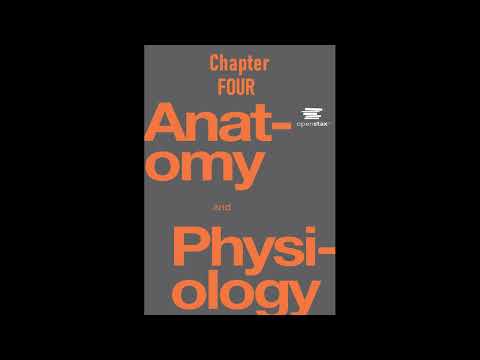 OpenStax Anatomy And Physiology Audiobook Chapter 4 - Read Along