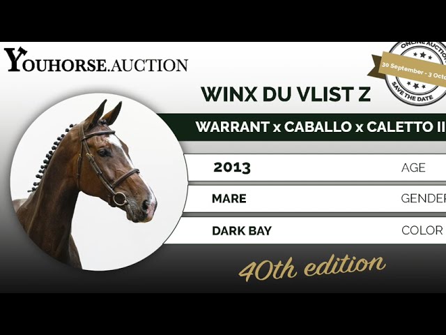 Winx du Vlist @ indoor show 1m45