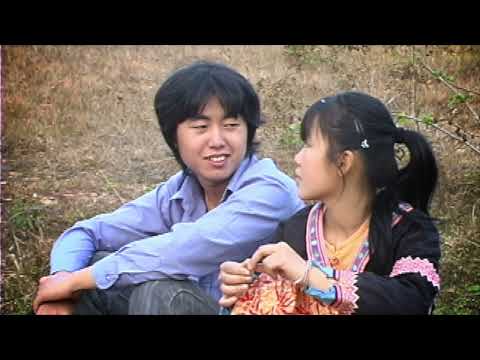 Paj Lig Vaj - Lam Saib Ib Muag