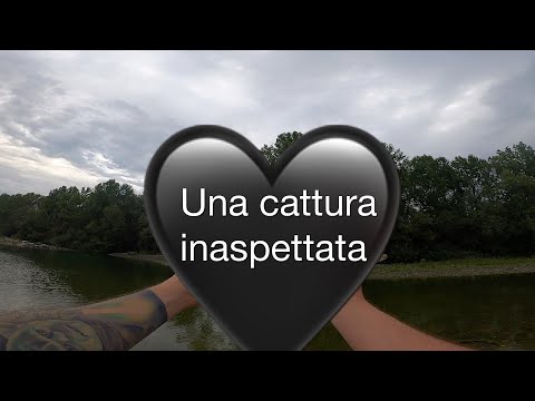 Una cattura inaspettata a light spinning