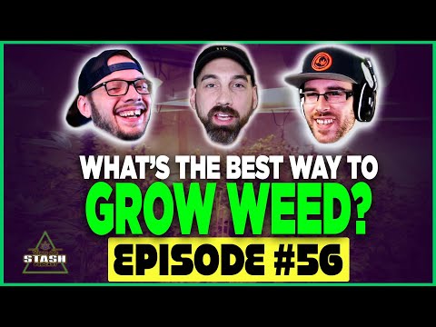 The Best Way to Grow Weed at Home - From the Stash Podcast Ep. 56