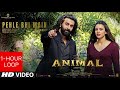 ANIMAL:PEHLE BHI MAIN(1-HOUR LOOP) | Ranbir Kapoor,Tripti Dimri | Sandeep V  | Bhushan K